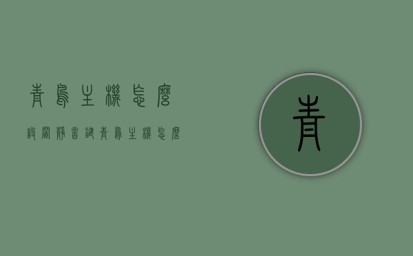 青鸟主机怎么设置静音键（青鸟主机怎么屏蔽整个回路），青鸟主机静音设置及屏蔽回路操作指南，青鸟主机静音设置与屏蔽回路操作指南，详细教程与步骤解析，青鸟主机静音设置及屏蔽回路操作详解，设置指南与教程解析，青鸟主机静音设置与屏蔽回路操作详解，设置指南、教程解析及步骤解析，青鸟主机静音设置与屏蔽回路操作详解，设置指南、教程及步骤解析 第1张