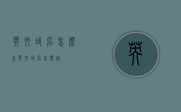英文域名怎么查（英文域名怎么起），英文域名查询方法与起名技巧