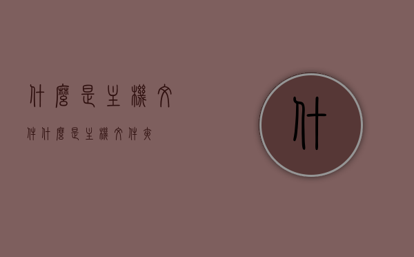 什么是主机文件（什么是主机文件夹），主机文件与主机文件夹，概念解析