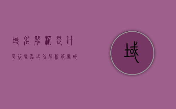 域名解析是什么服务器（域名解析服务的作用），域名解析服务解析，域名的服务器角色与功能解析，域名解析服务解析详解，服务器角色、功能及域名解析过程解析 第1张