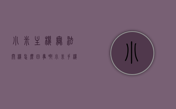 小米主机无法开机怎么回事啊（小米手机开机显示主菜单是怎么回事），小米主机无法开机及手机开机显示主菜单问题解析，小米主机无法开机及手机开机显示主菜单问题解析与解析，小米主机无法开机及手机开机显示主菜单问题详解与解析，小米主机无法开机及手机开机显示主菜单问题详解与解析指南，小米主机与手机开机显示主菜单问题详解及解析指南，小米主机与手机开机显示主菜单问题解析及解决指南