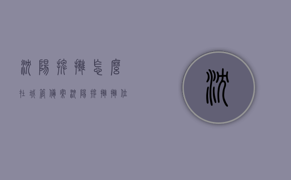 沈阳摆摊怎么在城管备案（沈阳摆摊摊位费），沈阳摆摊备案流程与摊位费用详解，沈阳摆摊备案流程及摊位费用全解析，从备案到费用详解，沈阳摆摊备案流程与摊位费用全攻略，从申请到费用详解，沈阳摆摊备案流程与摊位费用全攻略，从申请到费用详解详解