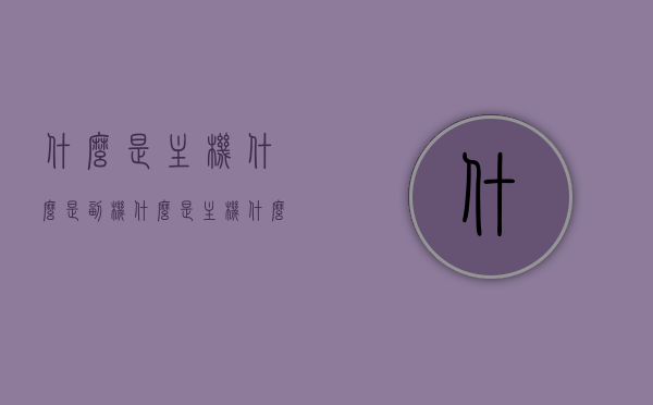 什么是主机什么是副机（什么是主机什么是副机电脑），主机与副机定义解析，电脑主机与副机概念解读，主机与副机解析，定义、概念及电脑应用解读