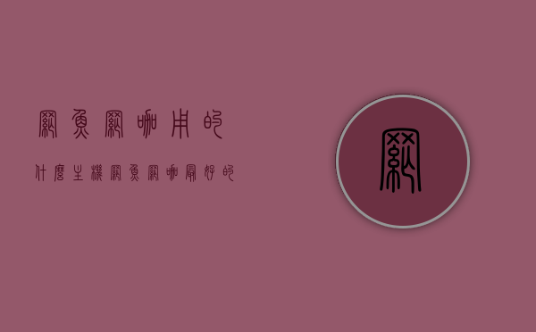 网鱼网咖用的什么主机（网鱼网咖最好的配置），网鱼网咖主机配置揭秘，顶级配置一览无余