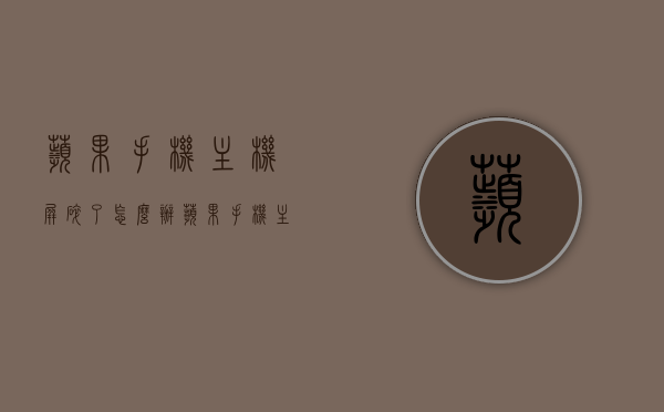 苹果手机主机屏碎了怎么办（苹果手机主机板坏了得多少钱），苹果手机屏幕与主机板问题解决方案及维修成本探讨，苹果手机屏幕与主机板问题解决方案，维修成本与修复方法探讨