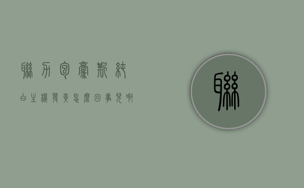 联力包豪斯纯白主机发黄怎么回事儿啊（联力包豪斯o11mini），联力包豪斯纯白主机出现发黄问题解析（针对O11mini型号）