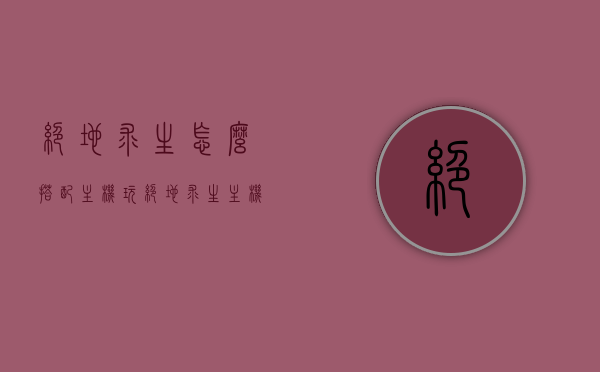 绝地求生怎么搭配主机玩（绝地求生 主机），绝地求生主机搭配攻略，玩转游戏必备指南
