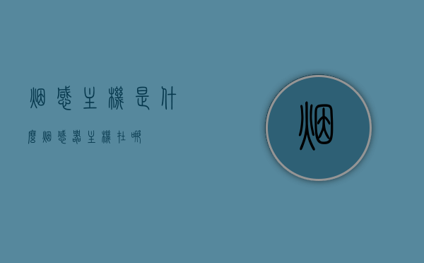 烟感主机是什么（烟感器主机在哪），烟感主机解析，定义、位置一览，烟感主机详解，定义、位置及功能解析