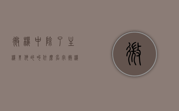 微机中除了主机其他的叫什么名字（微机中除了主机其他的叫什么名字来着），微机配件名称解析，主机之外还有哪些部件？，微机配件解析，主机之外部件名称详解，微机配件解析，主机之外部件详解及名称解析