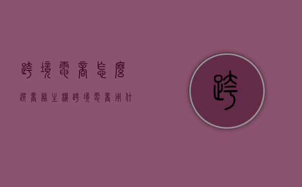 跨境电商怎么选商务主机（跨境电商用什么服务器），跨境电商如何选择商务主机及服务器？，跨境电商商务主机及服务器选择指南，选购要点与策略分析 第1张