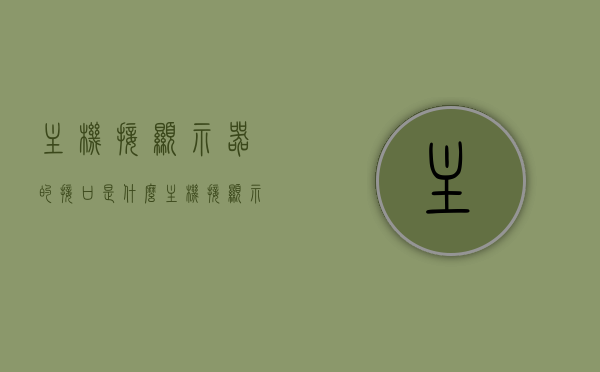 主机接显示器的接口是什么（主机接显示器的接口是什么型号），主机接显示器的接口类型及型号解析