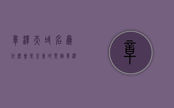 章泽天域名为什么会是京东的页面（章泽天别名），章泽天域名背后的京东页面之谜（揭秘背后的原因）