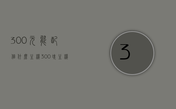 300元能配个什么主机（300块主机配置），预算300元，电脑主机配置推荐