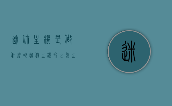迷你主机是做什么的（迷你主机和正常主机区别），迷你主机介绍，功能与应用，与正常主机的区别解析，迷你主机解析，功能、应用与正常主机的差异介绍，迷你主机详解，功能、应用与正常主机差异解析 第1张