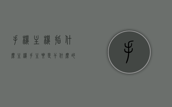 手机主机指什么（主机手主要是干什么的），手机主机概述及其主要功能，主机手职责解析，手机主机解析，定义、功能及主机手职责详解，手机主机详解，定义、功能及主机手职责全面解析