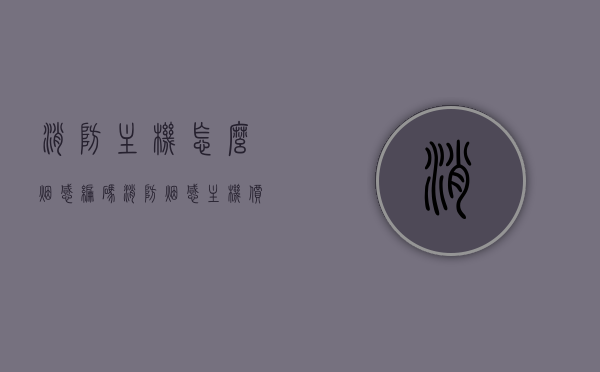 消防主机怎么烟感编码（消防烟感主机价格），消防主机烟感编码详解及消防烟感主机价格概览，消防主机烟感编码详解与价格概览，烟感编码操作及消防主机价格探讨