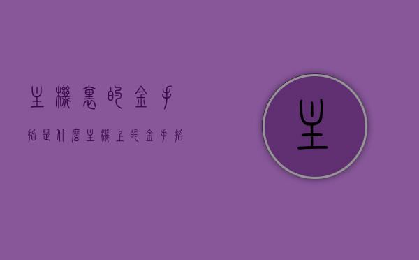 主机里的金手指是什么（主机上的金手指是什么），主机金手指解析，了解主机上的金手指是什么？，揭秘主机金手指，解析主机上的金手指及其功能
