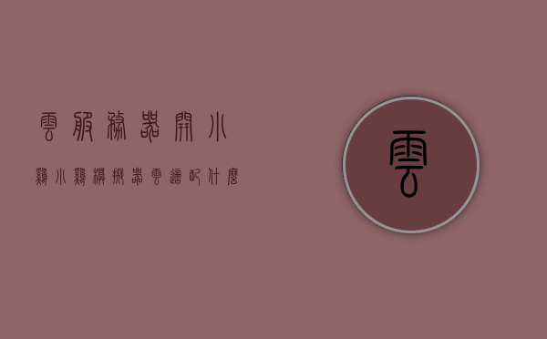 云服务器开小鸡（小鸡模拟器云适配什么意思），云服务器与小鸡模拟器，云适配解析与运用，云服务器与小鸡模拟器的云适配解析及运用探讨，云服务器与小鸡模拟器的云适配解析及运用探讨，从概念到实践探讨的指南 第1张