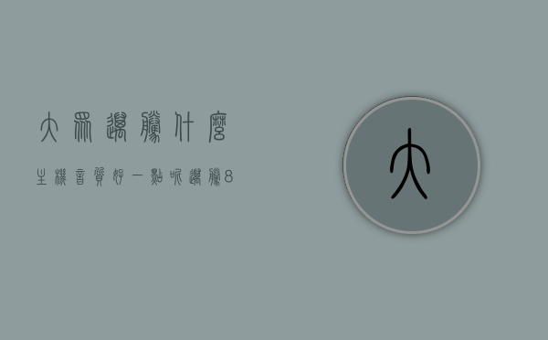 大众迈腾什么主机音质好一点呢（迈腾869主机音质怎么样），大众迈腾主机音质升级指南，哪款主机音质更佳？迈腾869主机音质解析