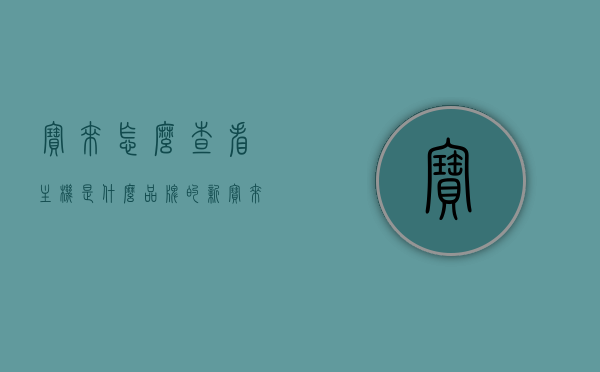 宝来怎么查看主机是什么品牌的（新宝来主机是哪个版本的），宝来主机品牌及版本查询方法，宝来主机品牌及版本查询方法详解，宝来主机品牌及版本查询详解，查询方法与步骤指南，宝来主机品牌及版本查询详解，查询方法与步骤指南