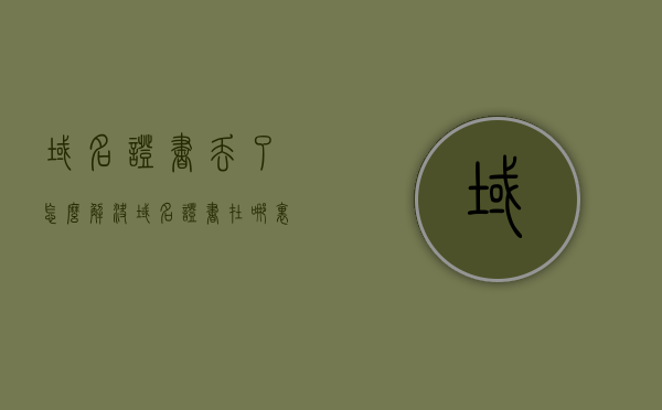 域名证书丢了怎么解决（域名证书在哪里办），解决域名证书丢失问题指南，补办流程与办理地点全解析