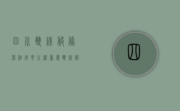 四川双线服务器租用云主机（重庆双线服务器租用），四川与重庆双线服务器租用云主机，高效稳定的IT服务之选，四川与重庆双线服务器租用云主机，高效稳定的IT服务首选，四川与重庆双线服务器云主机租用，高效稳定的IT服务首选之选，四川与重庆双线服务器云主机租用，高效稳定IT服务首选之选