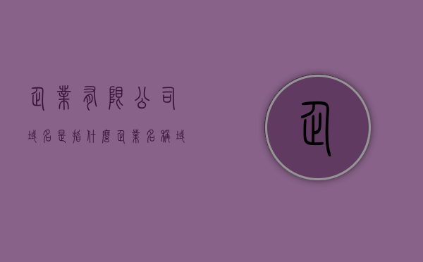 企业有限公司域名是指什么（企业名称域名），企业有限公司域名的定义与解析（企业名称域名介绍）