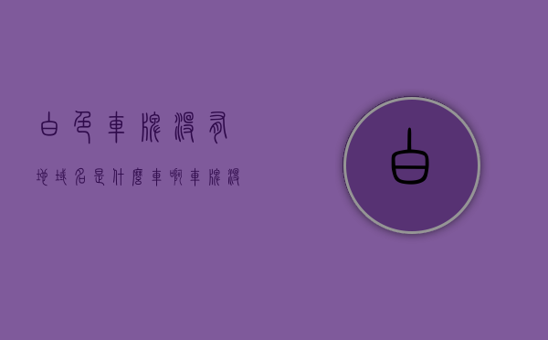 白色车牌没有地域名是什么车啊（车牌没有白点），白色车牌无地域名的车辆身份解析（无白点车牌探秘）