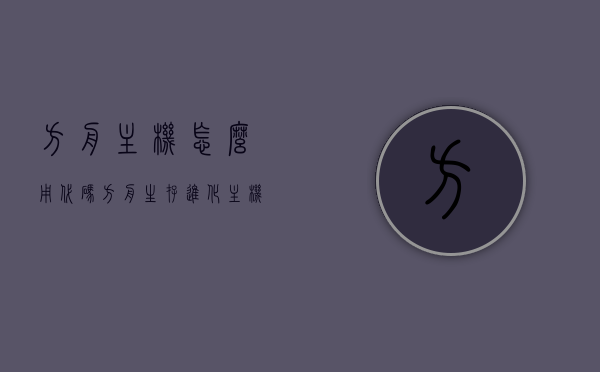 方舟主机怎么用代码（方舟生存进化主机代码），方舟生存进化主机代码使用指南，方舟生存进化主机代码使用指南，一步步教你如何运用代码在方舟主机上游戏