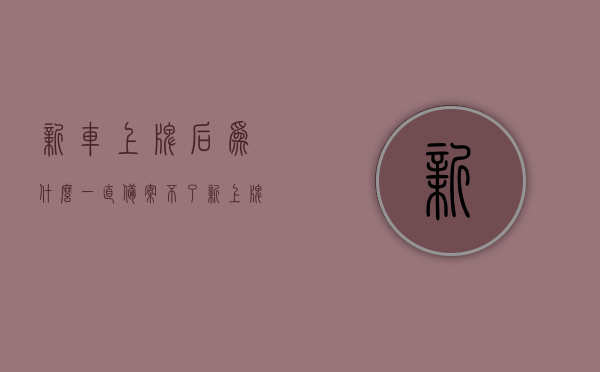 新车上牌后为什么一直备案不了（新上牌照的车无法在12123备案），新车上牌后无法备案问题解析，为何12123平台不识别您的车牌照？