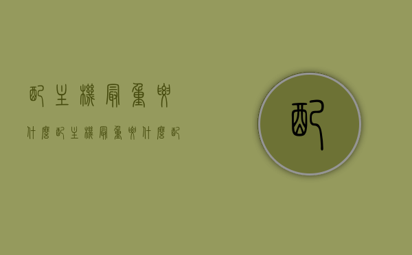 配主机最重要什么（配主机最重要什么配置），配主机核心要点，哪些配置最重要？，配主机核心要点解析，哪些配置最重要？