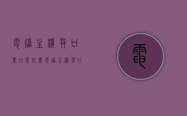 电脑主机并口串口是什么（电脑主机并口串口是什么接口），电脑主机并口串口解析，接口功能与特点介绍，电脑主机并口串口详解，功能、特点与接口解析