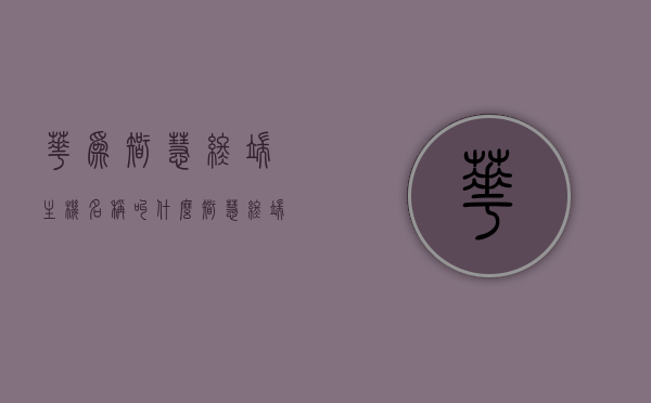 华为智慧终端主机名称叫什么（智慧终端设备），华为智慧终端主机名称揭晓，探索智慧终端设备的奥秘