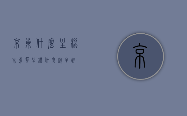 京东什么主机（京东买主机什么牌子好），京东主机购买指南，推荐品牌及选购攻略，京东主机购买指南，品牌推荐与选购攻略，京东主机购买攻略，品牌推荐与选购指南，京东主机选购全攻略！，京东主机购买全攻略，品牌推荐与选购指南，一文读懂选机技巧！，京东主机购买全攻略，品牌推荐与选购指南，一文掌握选机技巧！