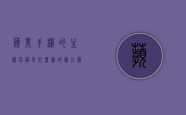 苹果手机的主机名称是什么样的图片（苹果手机主机名和ip地址在哪找），苹果手机主机名称及图片详解，如何查找主机名和IP地址？，苹果手机主机名称及IP地址查找指南，详解主机名、图片与位置信息，苹果手机主机名称及IP地址查找详解，图片指南与位置信息全攻略