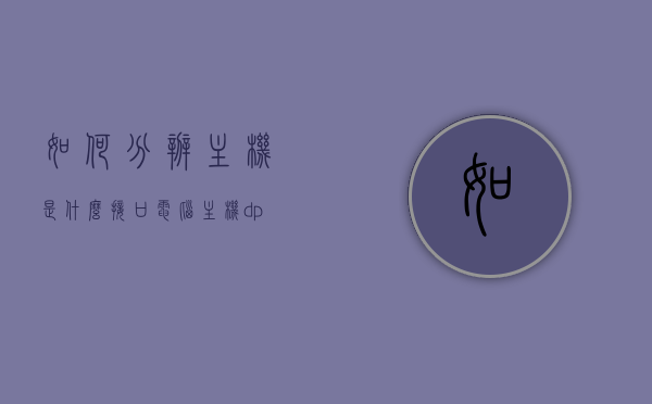 如何分辨主机是什么接口（电脑主机dp接口是什么意思），电脑主机接口解析，如何识别主机接口及了解DP接口含义，电脑主机接口解析，如何识别主机接口并了解DP接口含义