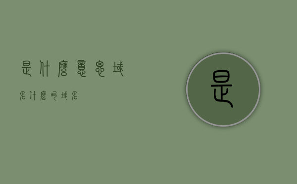 是什么意思域名（什么叫域名），域名的定义与概念解析，域名的定义与概念解析，详解域名含义与功能，域名的定义与概念解析，详解域名含义、功能与作用