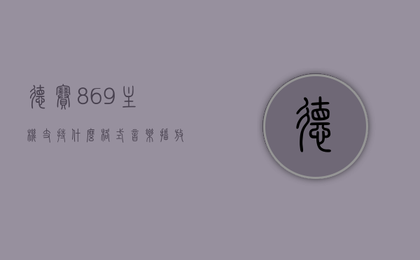 德赛869主机支持什么格式音乐播放（德赛869音质），德赛869主机支持的音乐播放格式及音质探讨，德赛869主机音乐播放格式及音质深度探讨，支持的音乐格式与音质体验解析，德赛869主机音乐播放格式与音质深度解析，支持格式及体验探讨，德赛869主机音乐播放格式支持与音质深度解析，音质体验与格式探讨