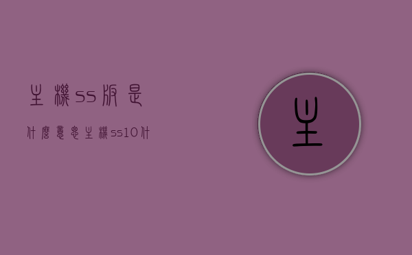 主机ss版是什么意思（主机ss10什么意思），关于主机ss版及主机ss10的解析与含义