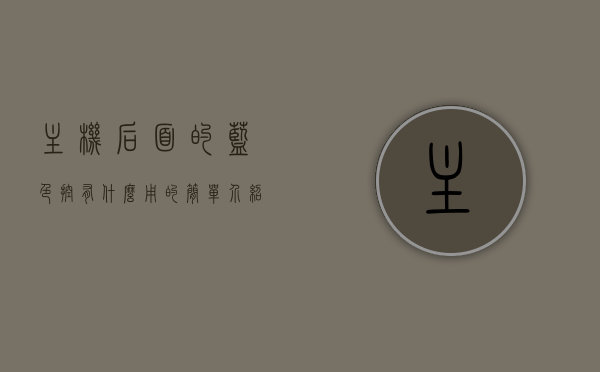 主机后面的蓝色控有什么用的简单介绍，主机背后蓝色控制接口简介，功能与应用，主机背后蓝色控制接口详解，功能与应用简介