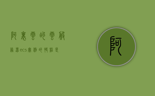 阿里云的云服务器ecs实例的快照是指（阿里云服务器快照是什么），阿里云服务器ECS实例快照详解，概念与功能介绍 第1张
