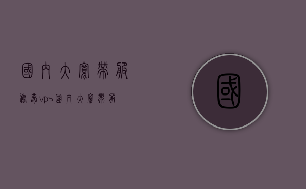 国内大宽带服务器vps（国内大宽带服务器购买），国内大宽带服务器VPS购买指南