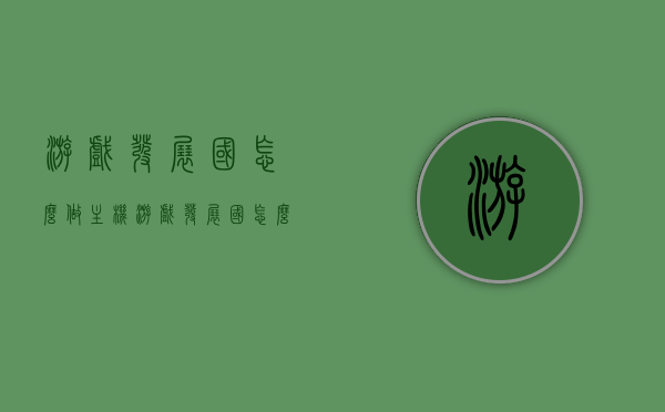 游戏发展国怎么做主机（游戏发展国怎么搭配），游戏发展国，主机制作及搭配攻略，游戏发展国，主机制作与搭配攻略大全