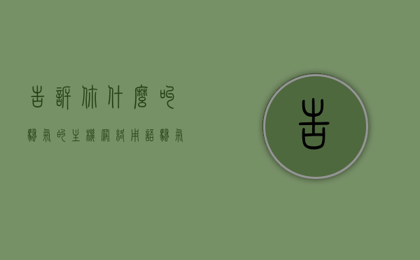 告诉你什么叫骚气的主机（网络用语骚气是啥意思），骚气主机揭秘，网络流行语骚气定义与内涵解析，揭秘骚气主机的神秘面纱，网络流行语骚气定义与内涵解析，揭秘骚气主机的神秘面纱，网络流行语骚气定义与内涵解析，揭秘骚气主机的神秘面纱，网络流行语骚气定义与内涵解析，揭秘骚气主机的神秘面纱，网络流行语骚气定义与内涵解析