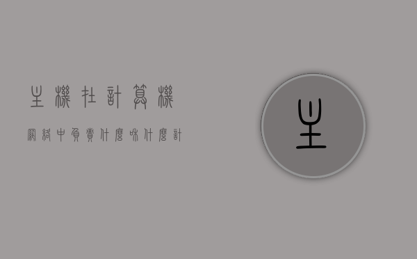 主机在计算机网络中负责什么和什么（计算机网络中的主机），计算机网络中的主机，职责与功能解析，计算机网络中主机的职责与功能解析，数据处理与通信枢纽角色解析