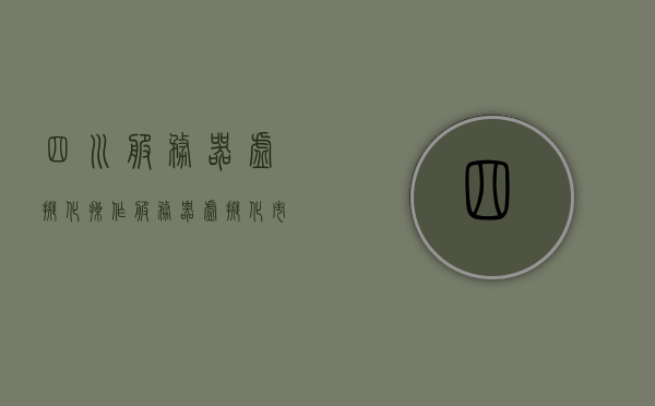 四川服务器虚拟化操作（服务器虚拟化市场指南），四川服务器虚拟化操作，市场指南深度解析，四川服务器虚拟化操作深度解析，市场指南与操作指南的双重指南，四川服务器虚拟化操作深度解析，市场指南与操作指南的双重指南，四川服务器虚拟化操作深度解析，市场指南与操作指南的双重指南探索，四川服务器虚拟化操作深度解析，市场指南与操作实践探索