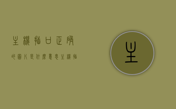 主机插口正确的图片是什么意思（主机插口正确的图片是什么意思呀），主机插口正确示意图解析，理解主机插口正确摆放的图片含义，主机插口正确摆放解析，理解主机插口示意图与图片含义的指南