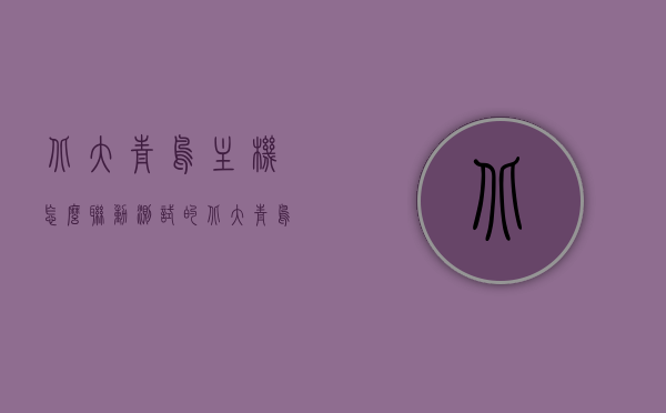 北大青鸟主机怎么联动测试的（北大青鸟主机联网设置），北大青鸟主机联动测试及联网设置指南，北大青鸟主机联动测试与联网设置指南，联动测试方法及步骤解析