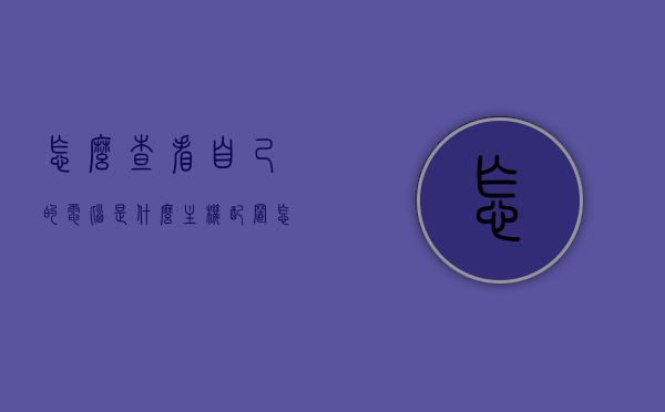 怎么查看自己的电脑是什么主机配置（怎么查看自己的电脑是什么主机配置型号），如何查看电脑主机配置及型号？详细步骤解析，如何查看电脑主机配置及型号？详细步骤解析与主机配置型号查询指南