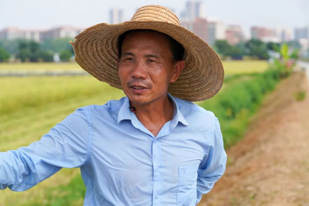 禾苗云端聚合服务器的简单介绍，禾苗云端聚合服务器简述，禾苗云端聚合服务器简述介绍 第2张